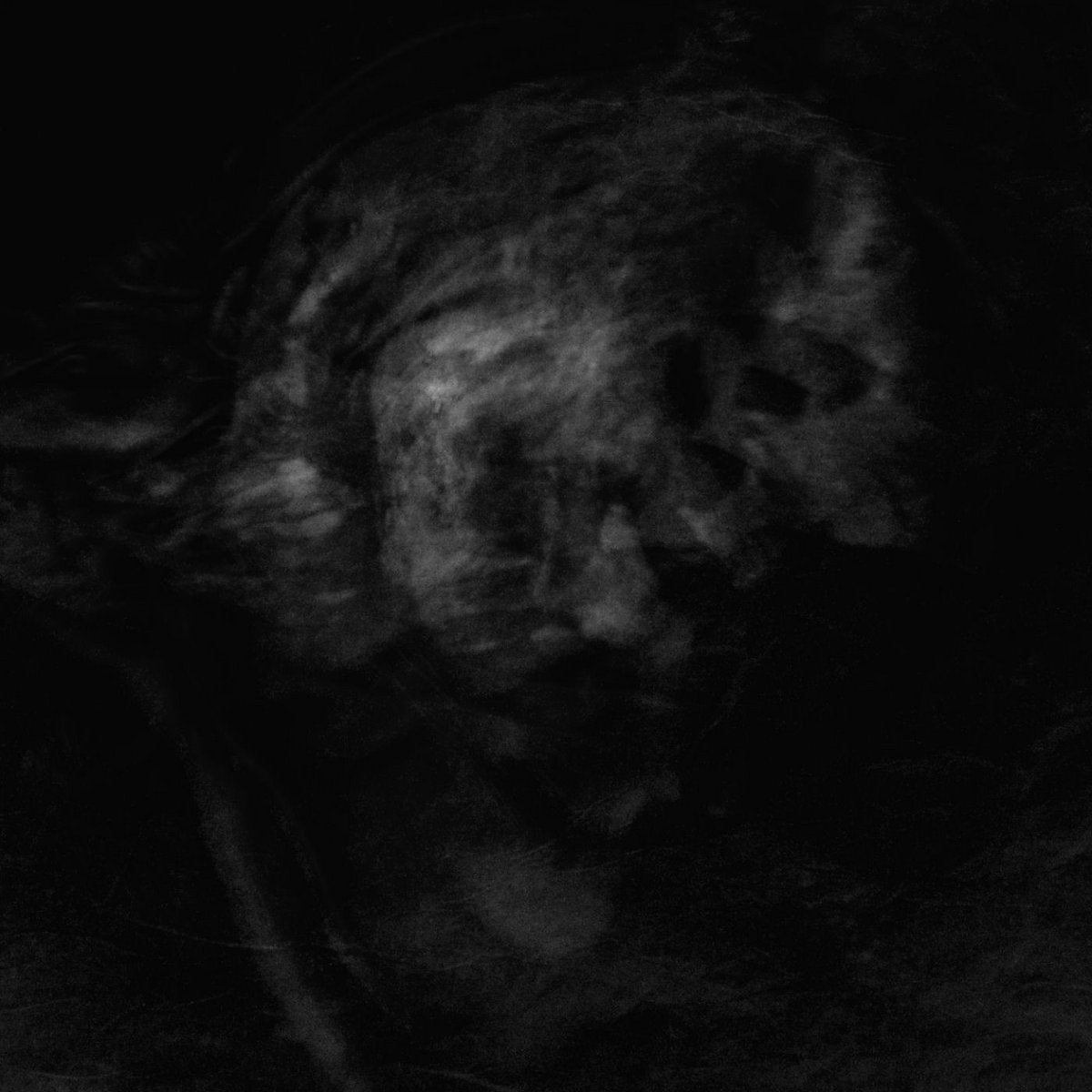 ADAESTUO - Tacent Semitae CD